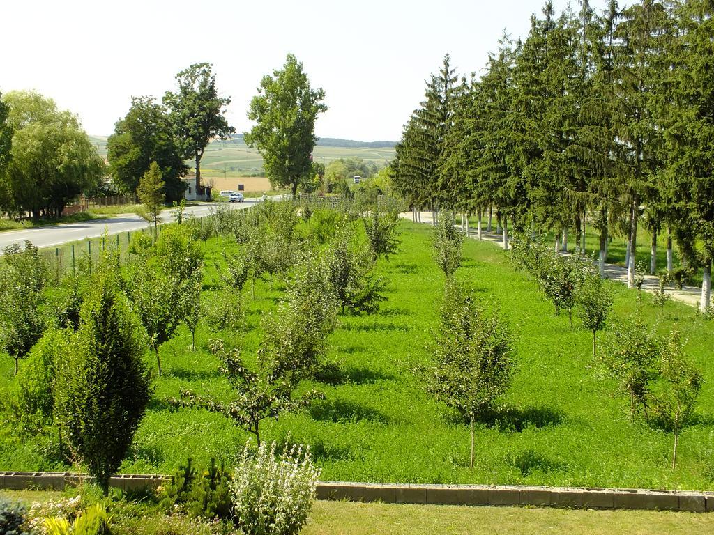 Motel Vector Acăţari Zewnętrze zdjęcie